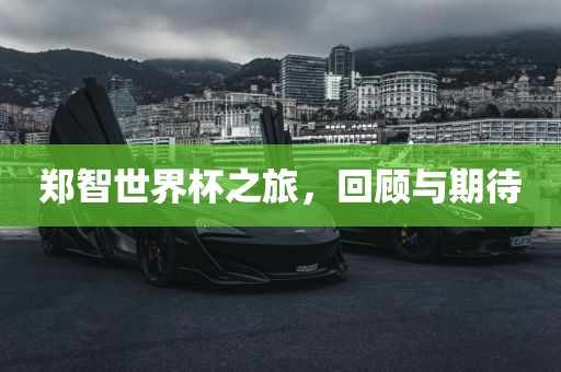 郑智世界杯之旅，回顾与期待