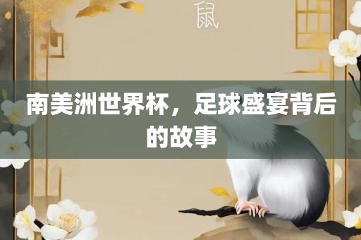 南美洲世界漯河市盈旭机械设备有限公司杯，足球盛宴背后的故事