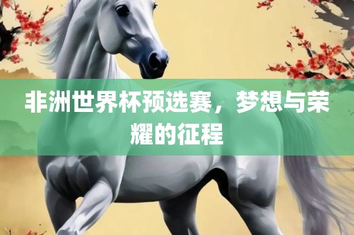非洲世界杯预选赛，梦想与荣耀的征程
