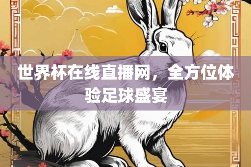 世界杯在线直播网，全方位体验足球盛宴