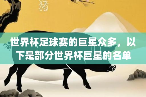 世界杯足球赛的巨星众多，以下是部分世界杯巨星的名单