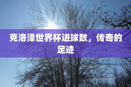 克洛泽世界杯进球数，传奇的足迹
