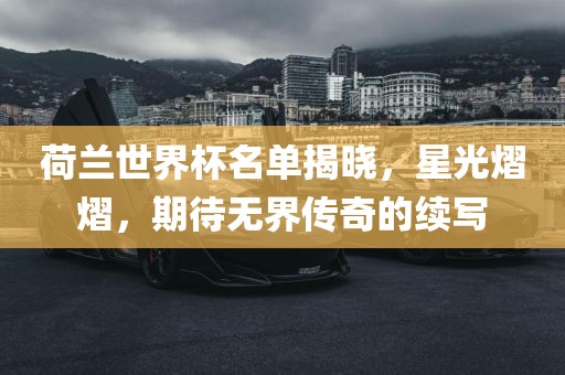荷兰世界杯名单揭晓，星光熠熠，期待无界传奇的续写