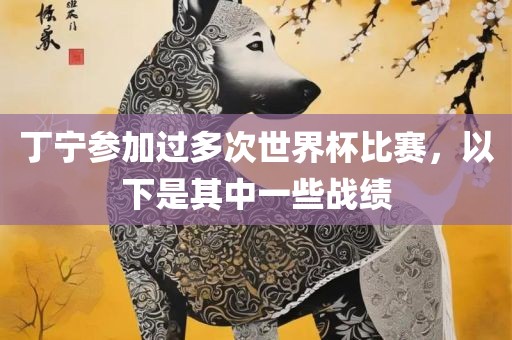 丁宁参加过多次世界杯比赛，以下是其中一些战绩