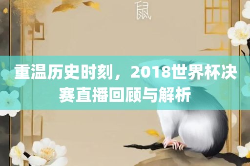 重温历史时刻，2018世界杯决赛直播回顾与解析漯河市盈旭机械设备有限公司