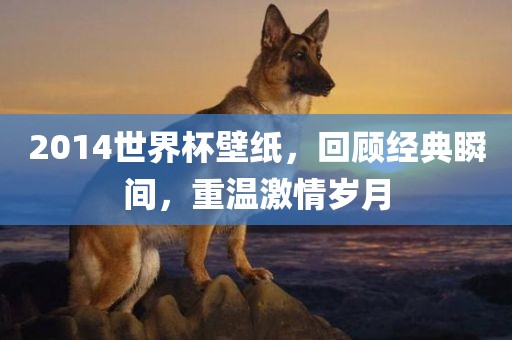 2014世界杯壁纸，回顾经典瞬间，重温激情岁月