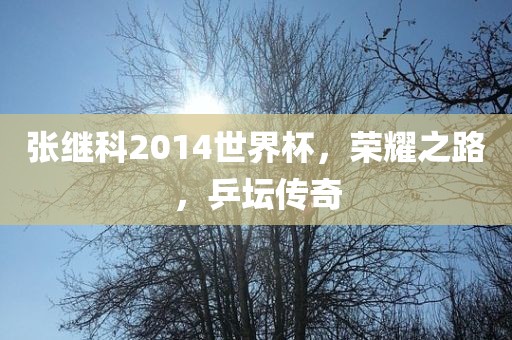 张继科2014世界杯，荣耀之路，乒坛传奇