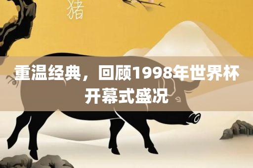 重温经典，回顾1998年世界杯开幕式盛况漯河市盈旭机械设备有限公司