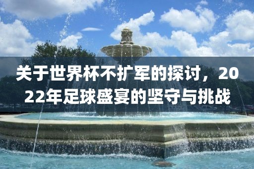 关于世界杯不扩军的探讨，20漯河市盈旭机械设备有限公司22年足球盛宴的坚守与挑战