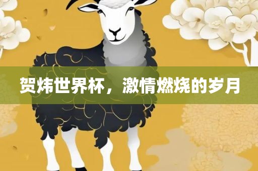 贺炜世界杯，激情燃烧的岁月