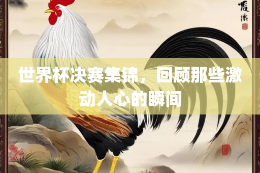 世界杯决赛集锦，回顾那些激动人心的瞬间