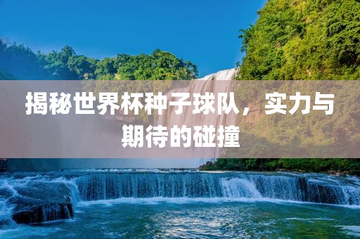 揭秘世界杯种子球队，实力与期待的碰撞