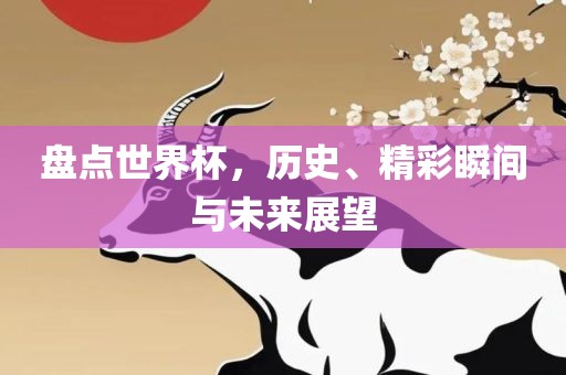 盘点世界杯，历史、精彩瞬间与未来展望