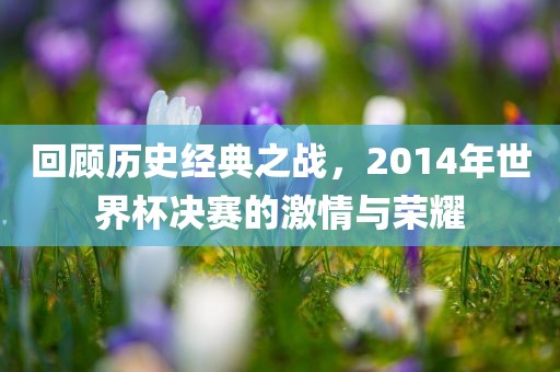 回顾历史经典之战，2014年世界杯决赛的激情与荣耀