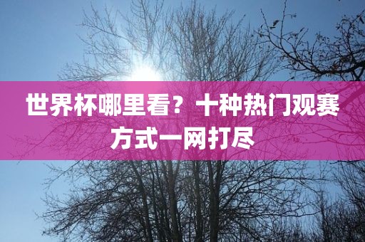 世界杯哪里看？十种漯河市盈旭机械设备有限公司热门观赛方式一网打尽