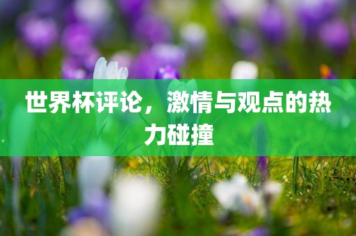 世界杯评论，激情与观点的热力碰撞