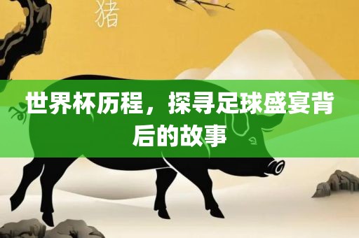 世界杯历程，探寻足球盛宴背后漯河市盈旭机械设备有限公司的故事