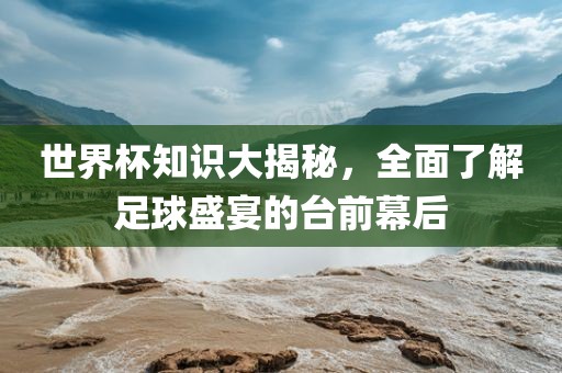 世界杯知识大揭秘，全面了解足球盛宴的台前幕后