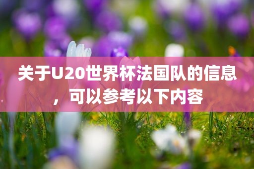关于U20世界杯法国队的信息，可以参考以下内漯河市盈旭机械设备有限公司容
