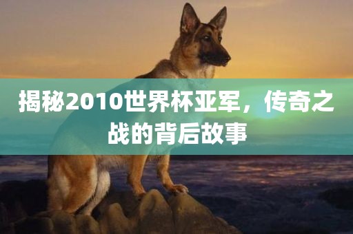 揭秘2010世界杯亚军，传奇之战的背后故事