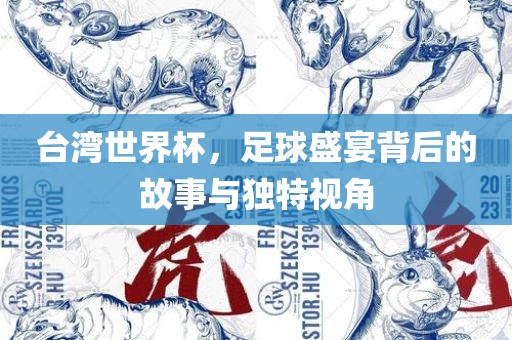 台湾世界杯，足球盛宴背后的故事与独特视角漯河市盈旭机械设备有限公司