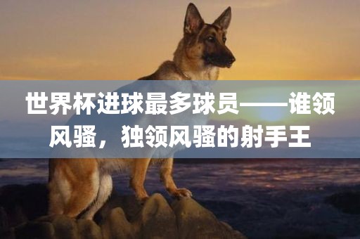 世界杯进球最多球员——谁领风骚，独领风骚的射手王漯河市盈旭机械设备有限公司