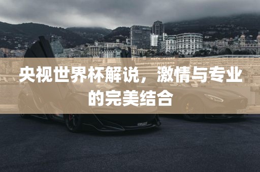 央视世界杯解说，激情与专业的完美结合
