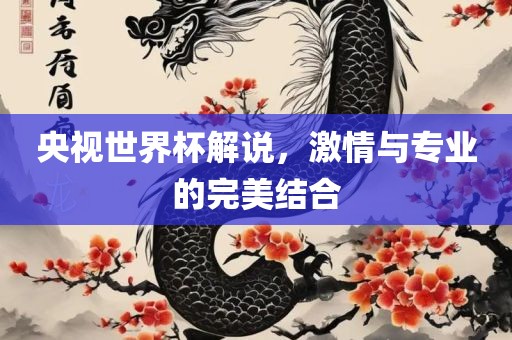 央视世界杯解说，激情与专业的完美结合
