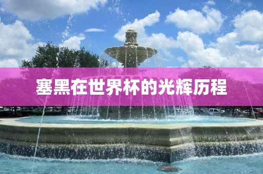 塞黑在世界杯的光辉历程漯河市盈旭机械设备有限公司
