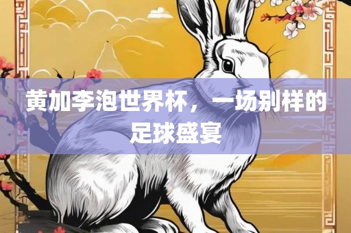 足球盛宴 第11页