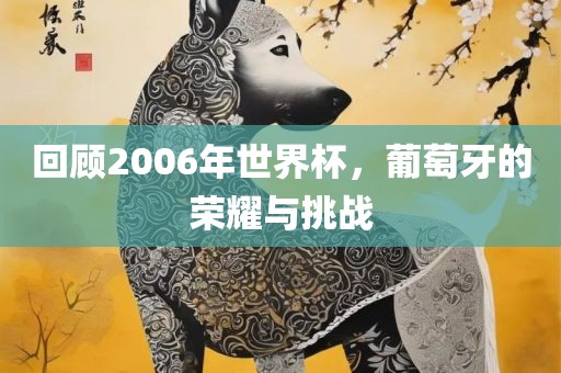 回顾2006年世界杯，葡萄牙的荣耀与挑战