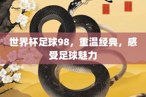 世界杯足球98，重温经典，感受足球魅力漯河市盈旭机械设备有限公司