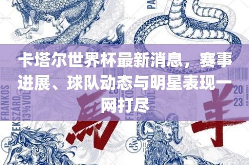 卡塔尔世界杯最新消息，赛事进展、球队动态与明星表现一网打尽漯河市盈旭机械设备有限公司
