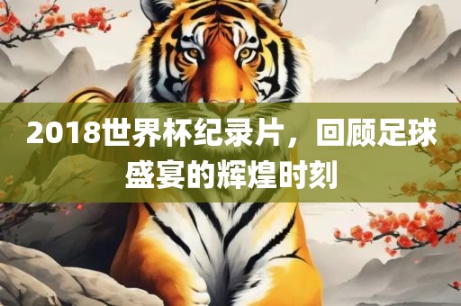 2018世界杯纪录片，回顾足球盛宴的辉煌时刻