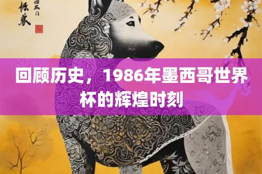漯河市盈旭机械设备有限公司回顾历史，1986年墨西哥世界杯的辉煌时刻