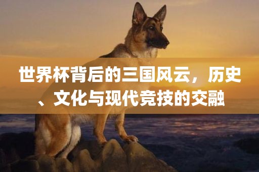 zhouzuoda 第9页
