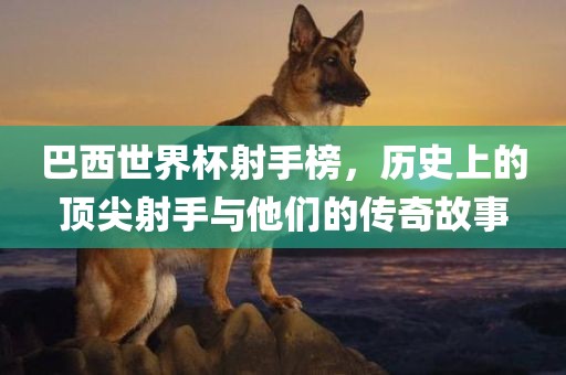 巴西世界杯射手榜，历史上的顶尖射手与他们的传奇故事