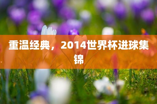重温经典，2014世界杯进球集锦