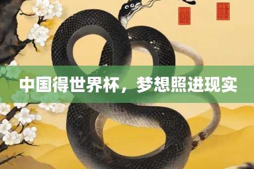 中国得世界杯，梦想照进现实