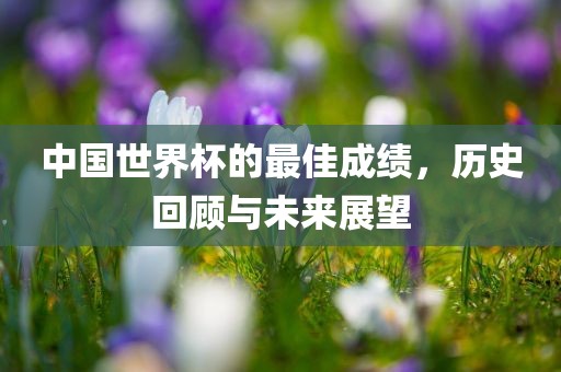 中国世界杯的最佳成绩，历史回顾与未来展望