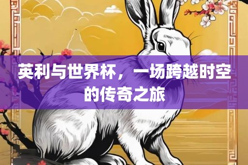 英利与世界杯，一场跨越时空的传奇之旅