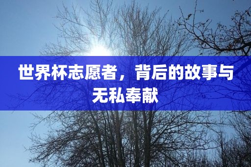 世界杯志愿者，背后的故事与无私奉献漯河市盈旭机械设备有限公司