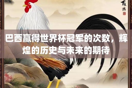 巴西赢得世界杯冠军的次数，辉煌的历史与未来的期待