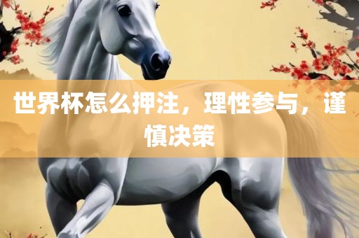 世界杯怎么押注，理性参与，谨慎决策