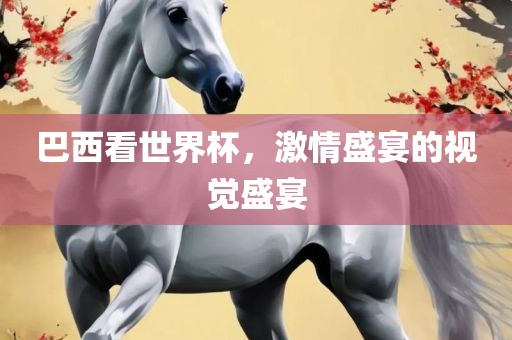 巴西看世界杯，激情盛宴的视觉盛宴