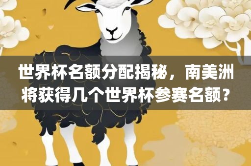世界杯名额分配揭秘，南美洲将获得几个世界杯参赛名额？