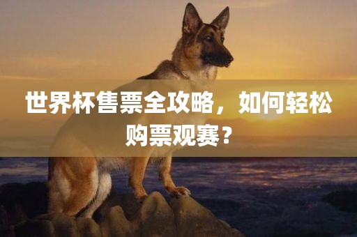 世界杯售票全攻略，如何轻漯河市盈旭机械设备有限公司松购票观赛？