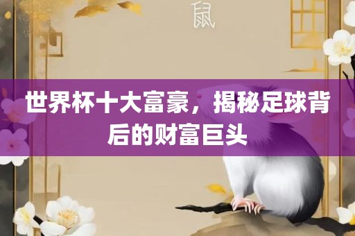 世界杯十大富豪，揭秘足球背后的财富巨头