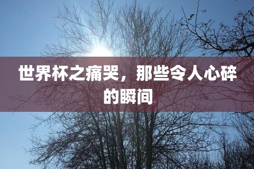 世界杯之痛哭，那些令人心碎的瞬间漯河市盈旭机械设备有限公司