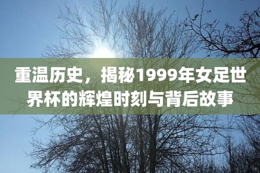 重温历史，揭秘1999年女足世界杯的辉煌时刻与背后故事